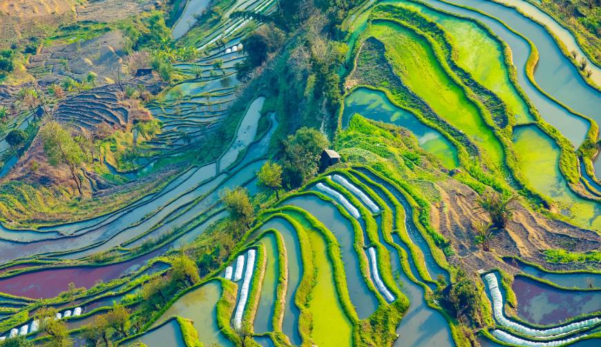 宝妈必备神器：姜堰区产品视频拍摄轻松育儿好帮手