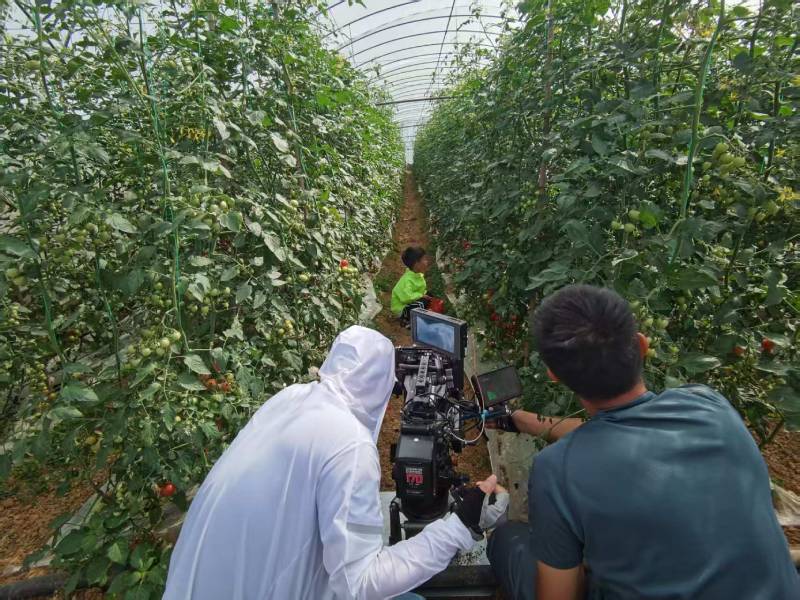 姜堰区产品宣传视频拍摄公司进阶指南，助力品牌抢占传播高地